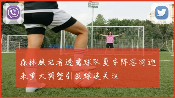 森林狼记者透露球队夏季阵容将迎来重大调整引发球迷关注