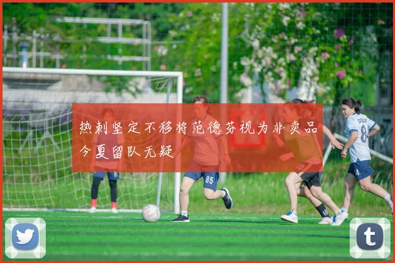 热刺坚定不移将范德芬视为非卖品今夏留队无疑