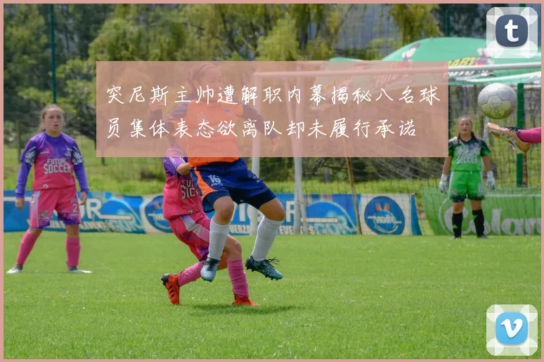 突尼斯主帅遭解职内幕揭秘八名球员集体表态欲离队却未履行承诺