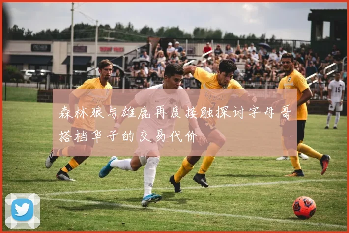 森林狼与雄鹿再度接触探讨字母哥搭档华子的交易代价